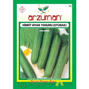 Hibrit Oturak Hıyar Tohumu