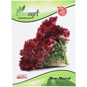 Mor Marul Sebze Tohumu