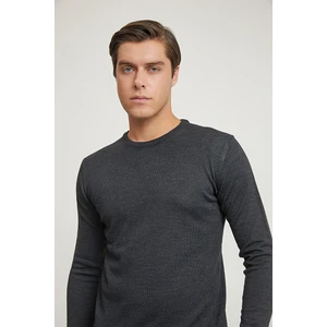 D'S Damat Regular Fit Antrasit Kazak 5HF060632004M