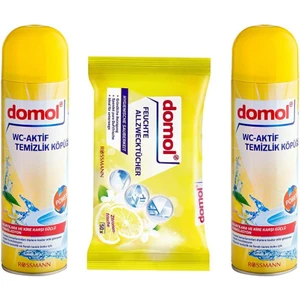 Limon Kokulu Yüzey Temizleyicisi ve 2'li Tuvalet Temizleme Köpüğü 500 ml