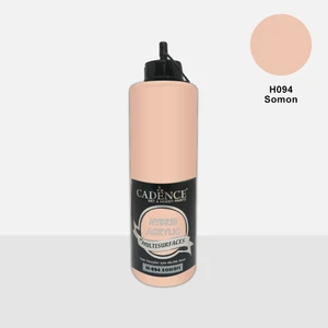 Hybrid Multisurface Boya 500 ml H094 Somon