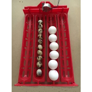 Efe Kuluçka Makineleri Yatay Kaz Yumurta Viyolü 1/240 Rpm Motor Dahil