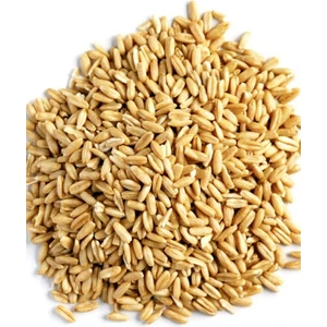 Soyulmuş Yulaf 1 kg