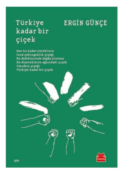 Türkiye Kadar Bir Çiçek - Ergin Günçe