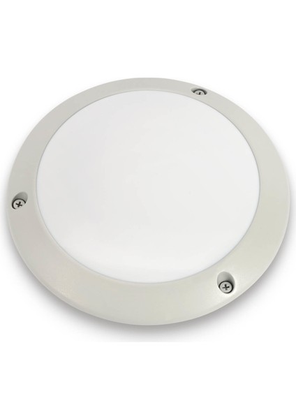 Elegance Nemliyer Şeffaf Glop Armatür E27 Duy Gri