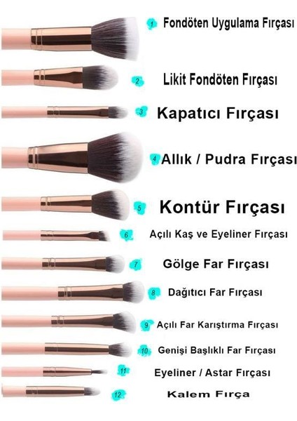 Izla Balık Fırça Seti Mor Renk 4'lü