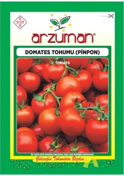 Sebze Chery Pinpon Domates Tohumu modelleri