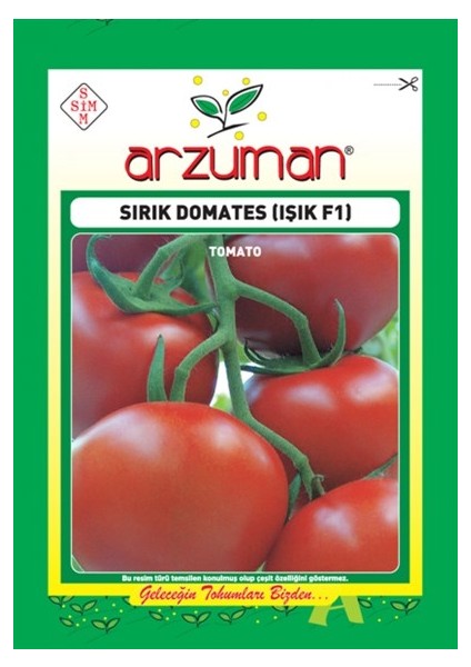 Işık Sırık F1 Domates Tohumu