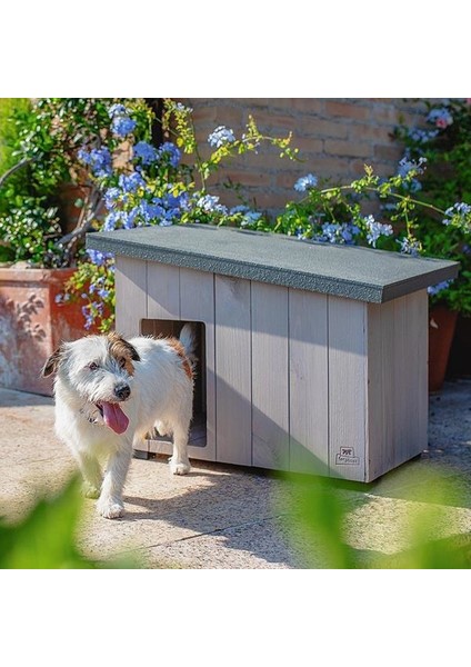 Argo 60 Ahşap Köpek Kulübesi