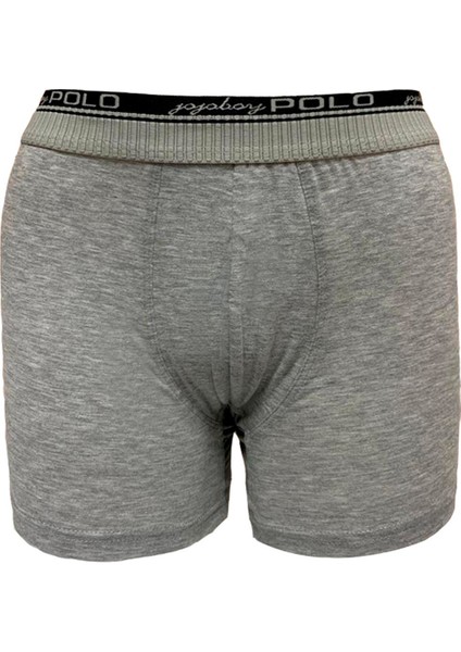 Polo Erkek Boxerdon 2 Li Grimelanj L