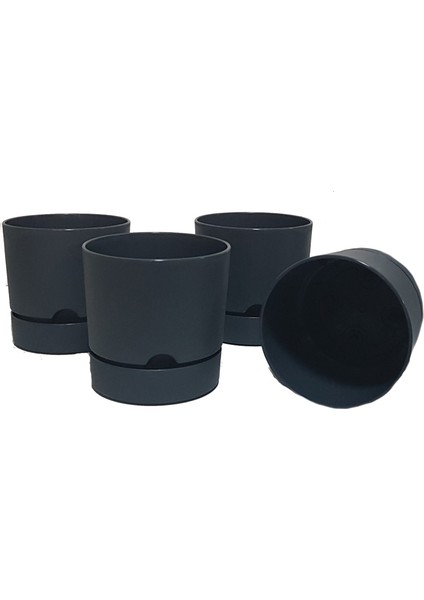 4 Lü Begonya 15 cm Renkli Plastik Tabaklı Saksı