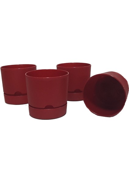 4 Lü Begonya 15 cm Renkli Plastik Tabaklı Saksı