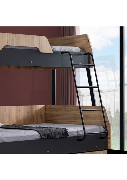 Alba 2li Geniş Ranza, Antrasit modelleri