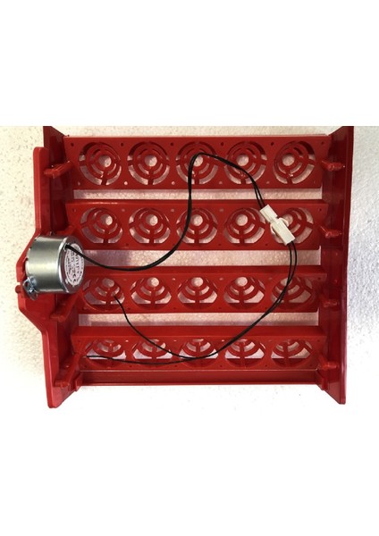 20'li Tavuk Yumurta Viyol 1-240 Rpm Motor Dahil 30 x 29 x 14 cm