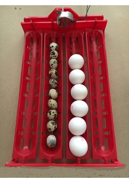 Yatay Kaz Yumurta Viyolü 1/240 Rpm Motor Dahil