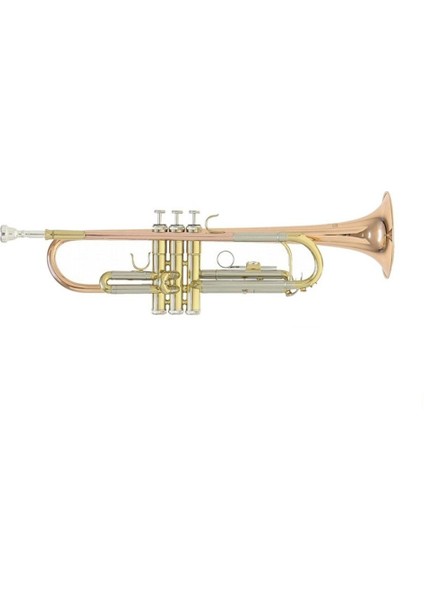 Roy Benson TR-202G Bb Trompet