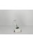57 W Halojen Ampul E27 2