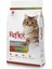 Adult Cat Chicken - Rice 2kg 1