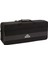 Roy Benson TR-202G Bb Trompet 2