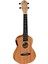 RFU11SE Elektro Concert Ukulele (Natural) 1