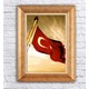 Seçili Renk Renkli