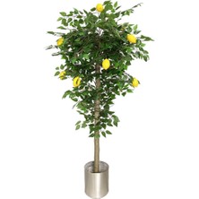 Nettenevime Yapay Limon Ağacı 180CM Doğal Görünümlü Yapay Ağaç