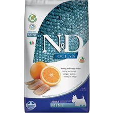 N&D Nd Ocean Balıklı ve Potakallı Küçük Irk Tahılsız Yetişkin Köpek Maması 2.5 kg