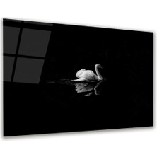 Glass Art Kuğu Yatay Cam Tablo