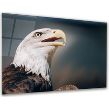 Glass Art Kartal Yatay Cam Tablo