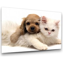 Glass Art Kedi ve Köpek Yatay Cam Tablo