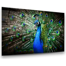 Glass Art Tavus Kuşu Yatay Cam Tablo