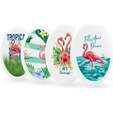 Silka Flamingo Silgi  3 Adet