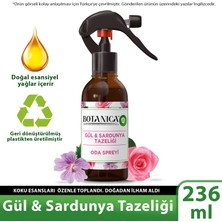Air Wick Botanica Gül & Sardunya Tazeliği Oda Kokusu Spreyi 236 ml