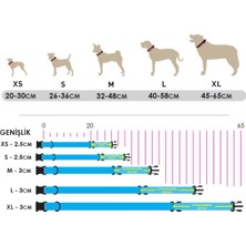 Utd Pet Lightning Köpek Boyun Tasması L 40-58 cm