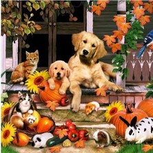 Hi Stone MS24415 5d Elmas Boncuk Taş İşleme Mozaik Goblen Kit 30 x 30 cm