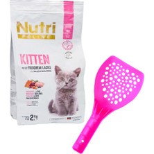 Nutri Feline Kitten Somon Etli 2kg Nutri Feline Yavru Kedi Maması Kürek Hed