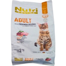 Nutri Feline Adult Tavuk Etli 2kg Nutri Feline Yetişkin Kedi Maması Kürek