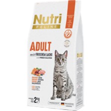 Nutri Feline Adult Somon Etli 2kg Nutri Feline Yetişkin Kedi Maması Kürek