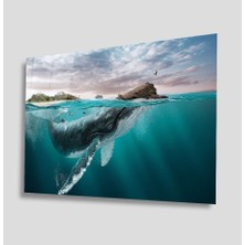 Eliza Home   Sualtı Cam Tablo