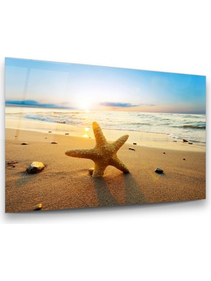 Glass Art Deniz Yıldızı Yatay Cam Tablo