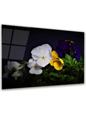 Glass Art Çiçek Foto Manipülasyon Yatay Cam Tablo