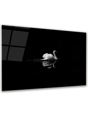 Glass Art Kuğu Yatay Cam Tablo