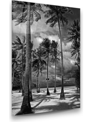 Glass Art Uzun Ağaçlar Dikey Cam Tablo