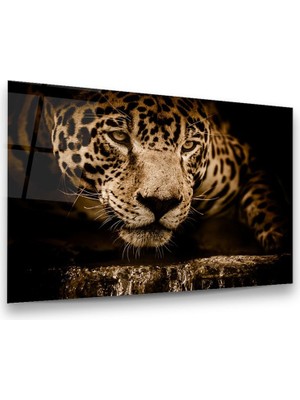Glass Art Jaguar Yatay Cam Tablo