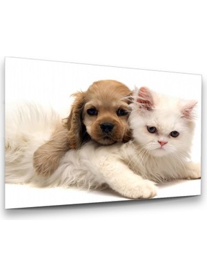 Glass Art Kedi ve Köpek Yatay Cam Tablo
