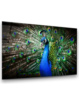 Glass Art Tavus Kuşu Yatay Cam Tablo