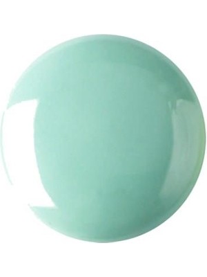 Refsan Renkli Sır Su Yeşili 370 5 kg