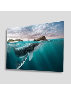 Eliza Home   Sualtı Cam Tablo