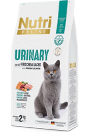 Nutri feline 2025