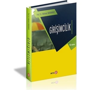 Girişimcilik